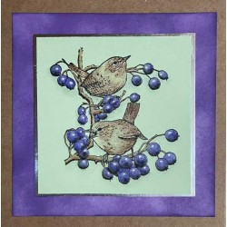 Wrens Cling Rubber Stamp